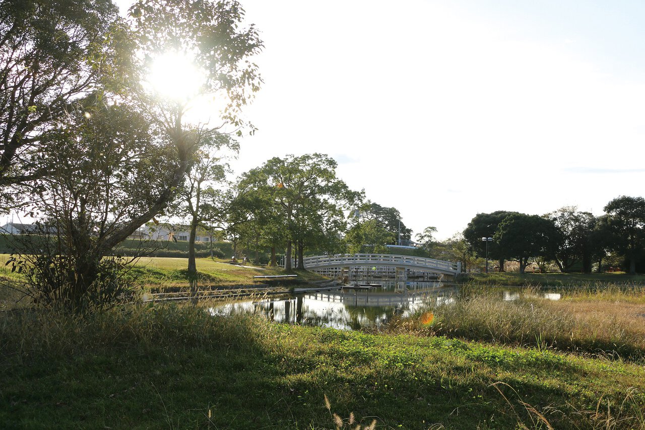 原野 谷川 親水 公園