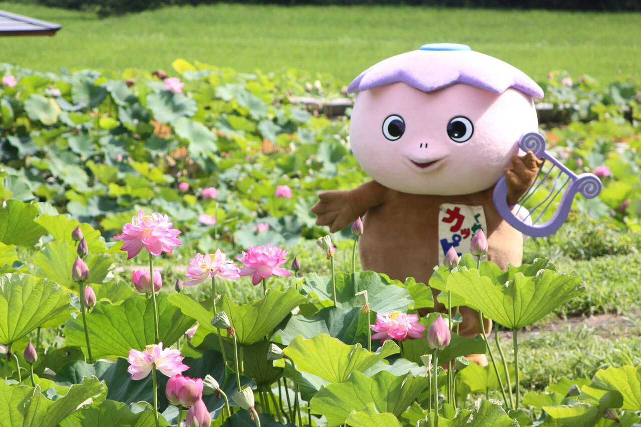 活動歴および当時の関連ビジュアル記録