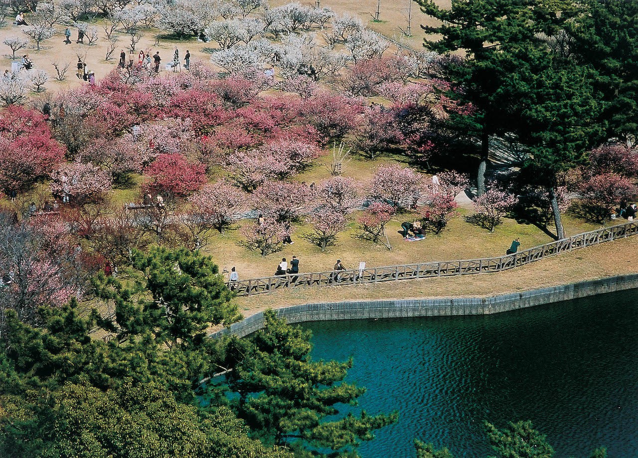 Minami Park Guidoor Minami Park Guidoor