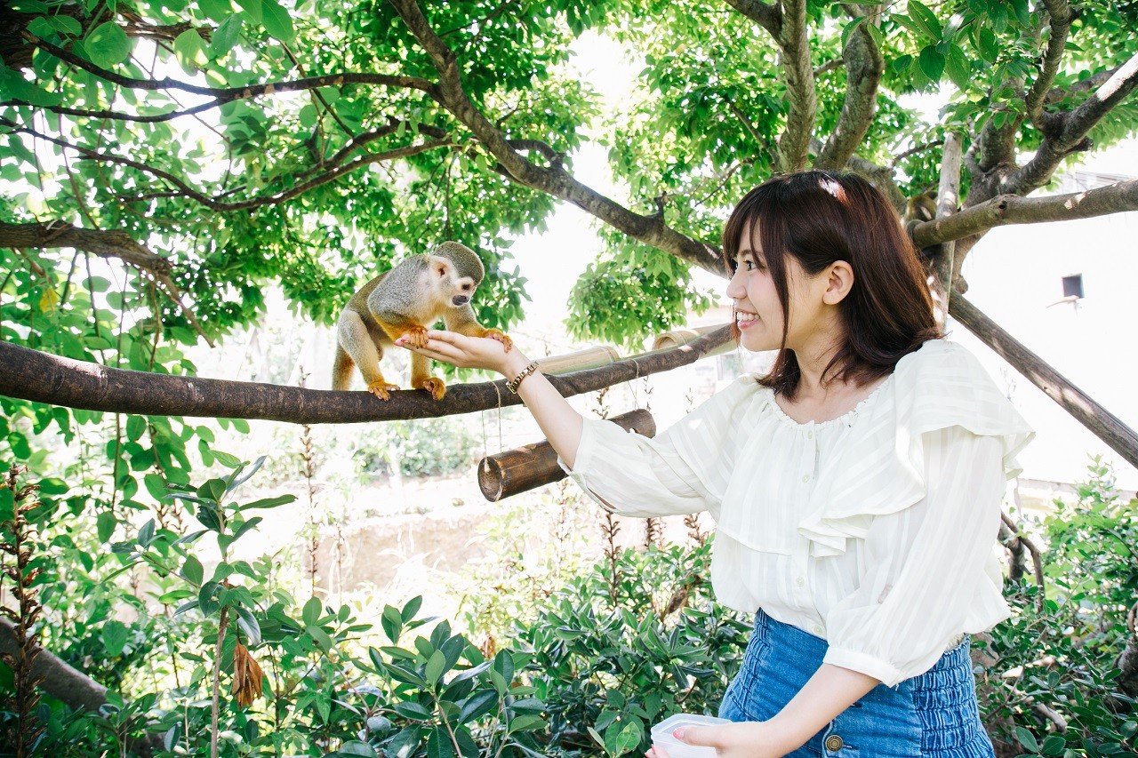 ときわ動物園 (ときわ公園) - Guidoor