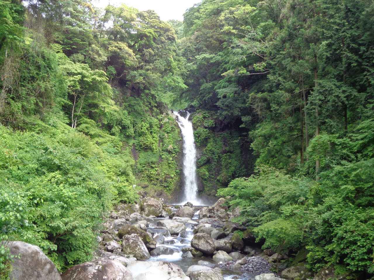大棚 の 滝