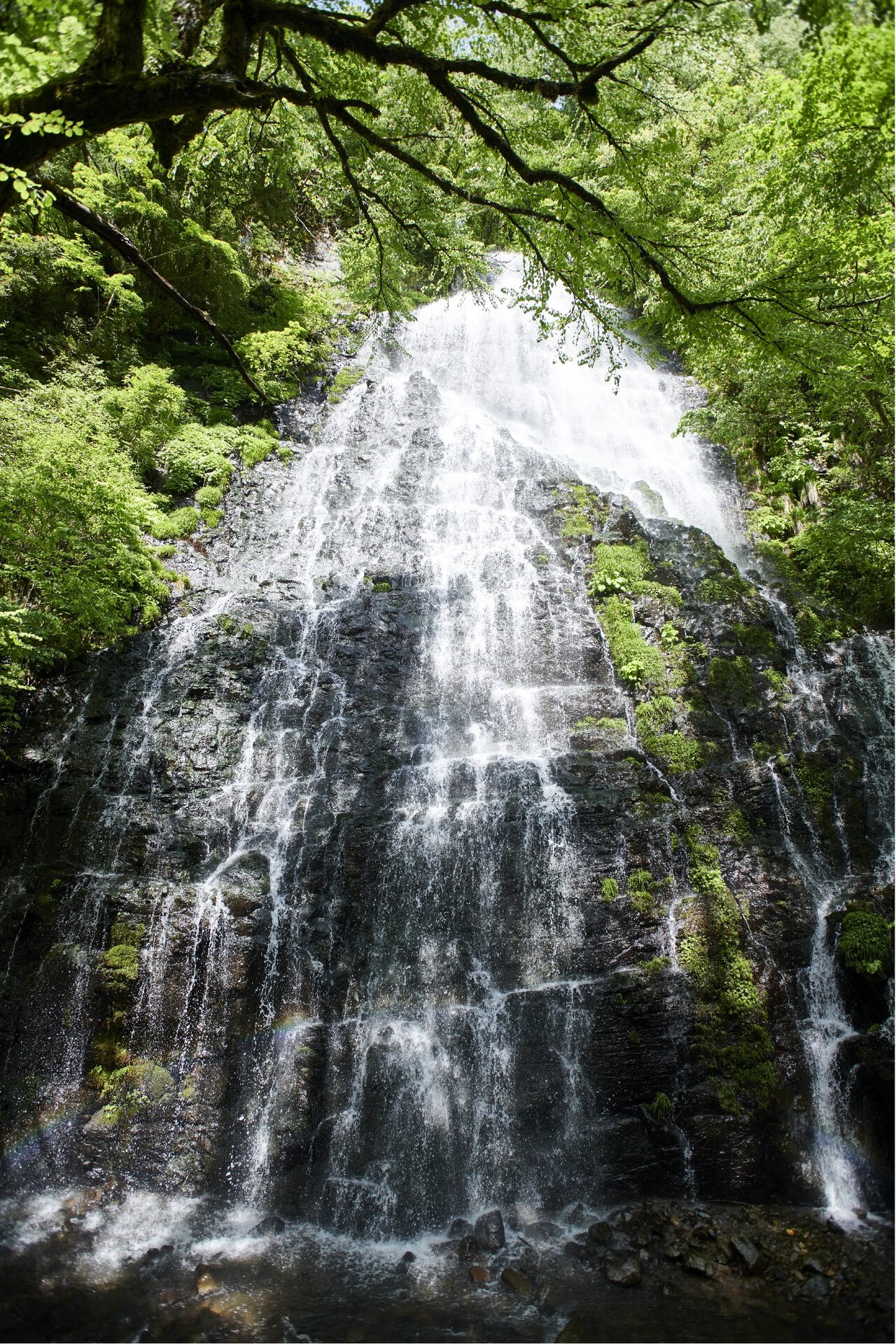 龍 双 ヶ 滝