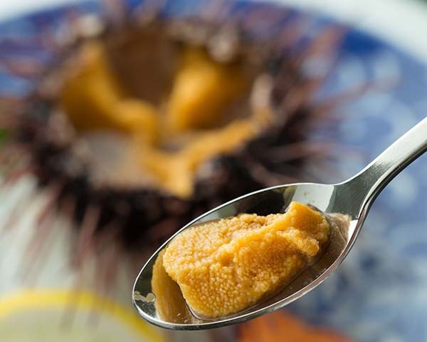 大望閣の活き雲丹