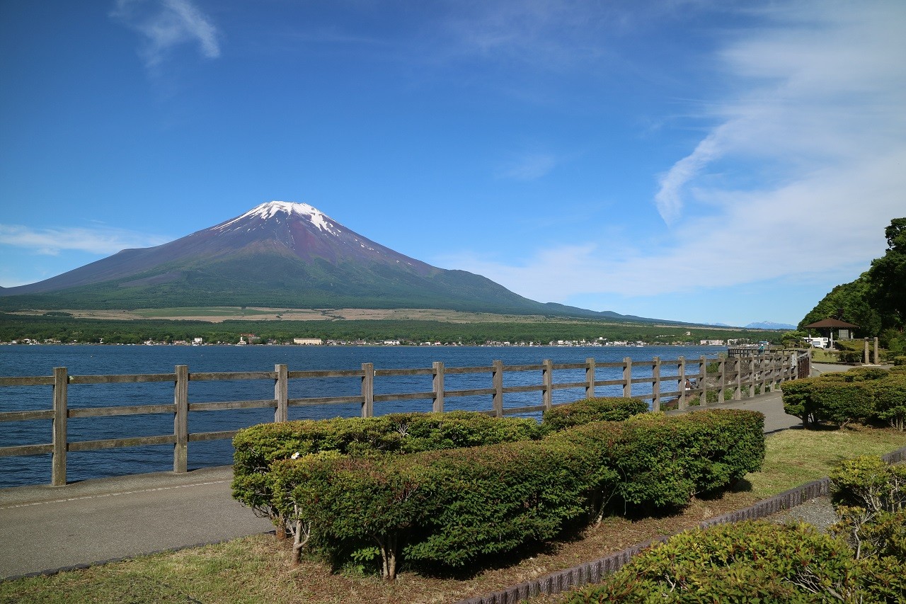 公の場での発言・インタビュー報道記録