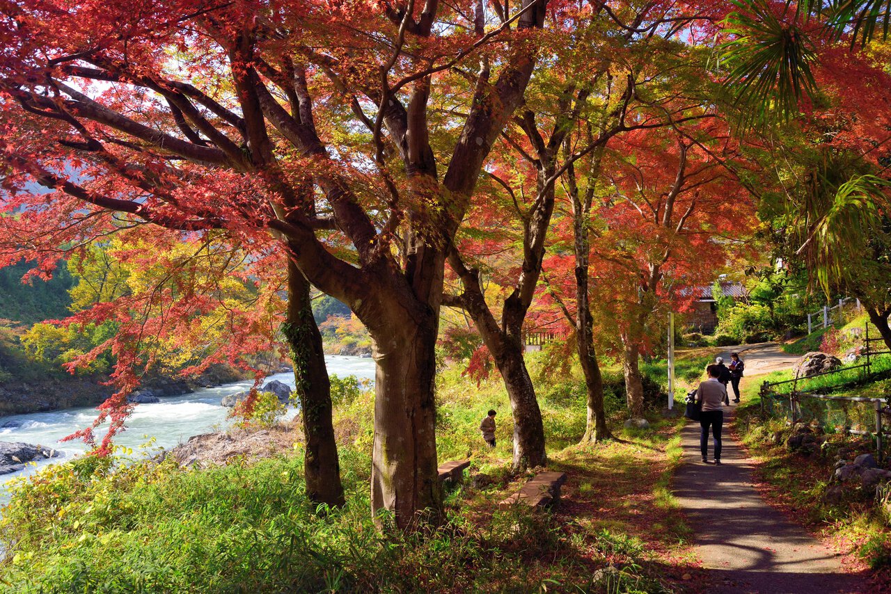 The Mitake gorge promenade - Guidoor
