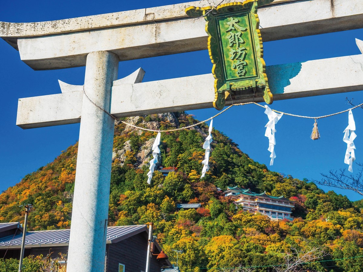 ☆希少価値☆在庫なし 太郎坊宮 信仰の歴史を辿る 太郎坊宮誌編纂委員会 太郎坊宮（阿賀神社） - Guidoor
