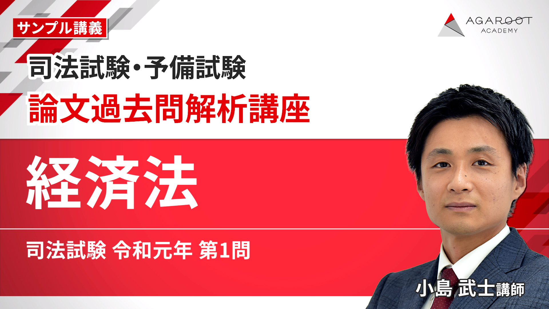 アガルート　司法試験 2024年度 経済法　論文過去問解析講座　総合講義　セット アガルート 司法試験 2024年度 経済法 論文過去問解析講座 総合