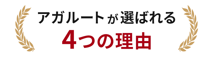 アガルートが選ばれる4つの理由