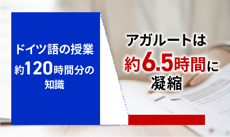 試験の出題傾向を分析