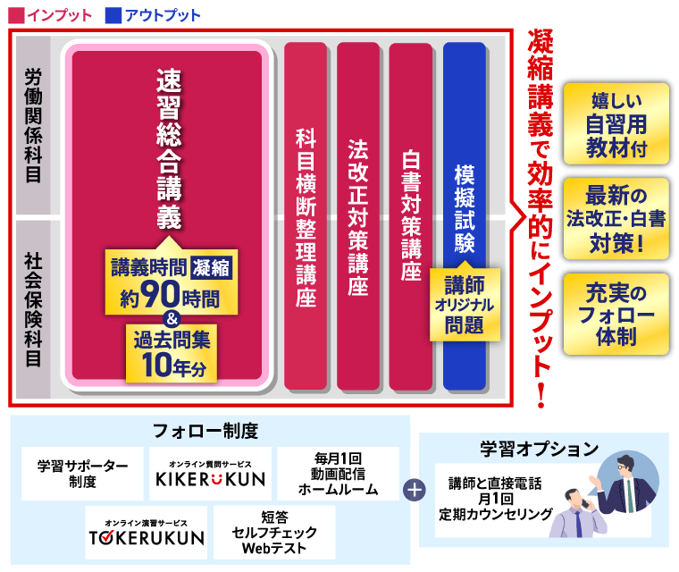 2025年 令和7年 社会保険労務士合格指導講座 社会保険労務士試験 2025年（令和7年）受験対策版 「右脳を使っ