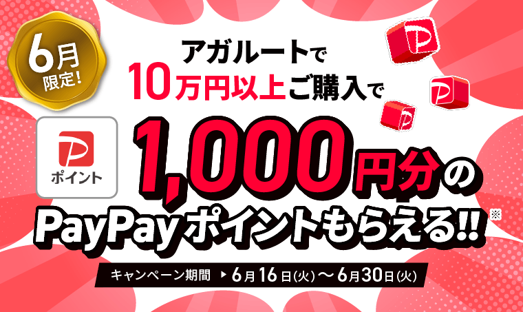 6月限定　アガルートで10万円以上ご購入で1000円分のPayPayポイントもらえる！キャンペーン期間6月16日～6月30日