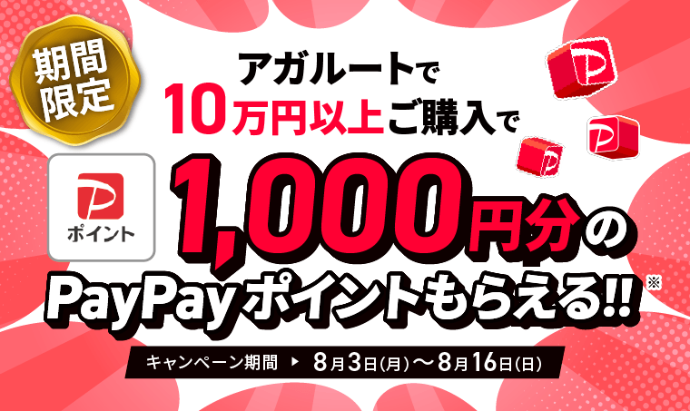 期間限定!1000円分のPayPayポイントプレゼント!キャンペーン期間8月3日~8月16日