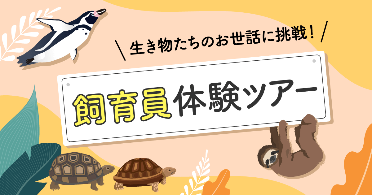 飼育員体験ツアー イベント Dmmかりゆし水族館