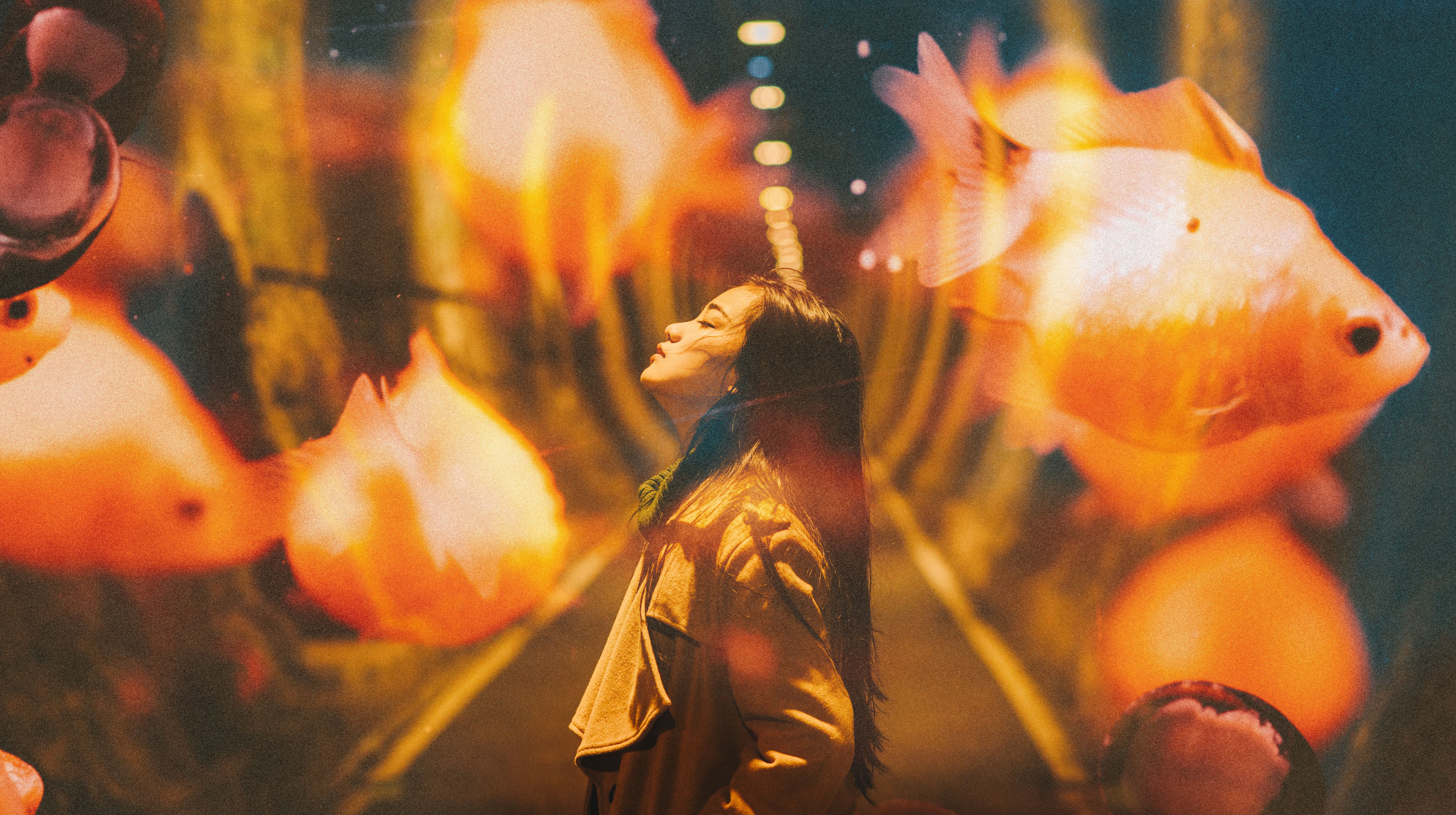 提供模特兒服務的專家無