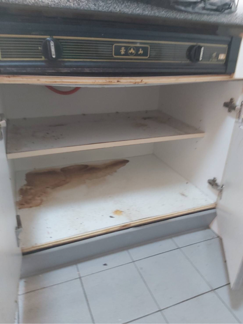 禎愛料理廚房/居家清潔除塵蟎 - 