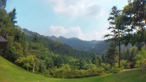 提供潤稿服務的專家Anna Morley