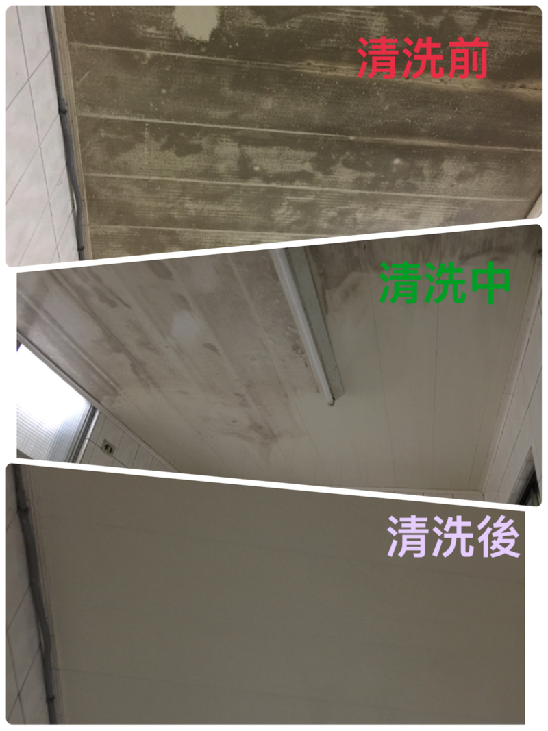 小星星清潔工作室 - 
