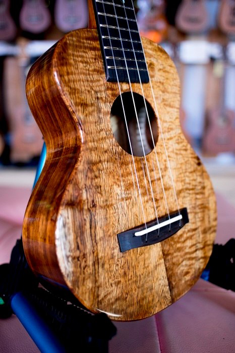 提供烏克麗麗服務的專家宏達音樂工作室