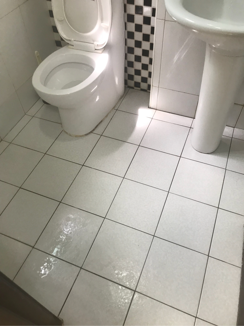 鄭春秀 - 清潔後