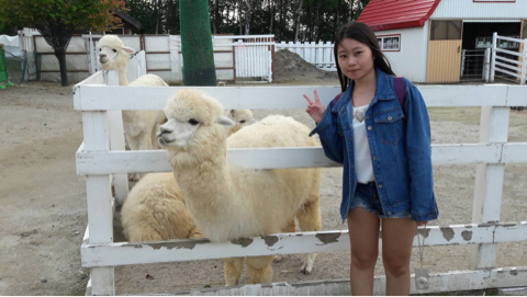 提供規劃師服務的專家王小姐