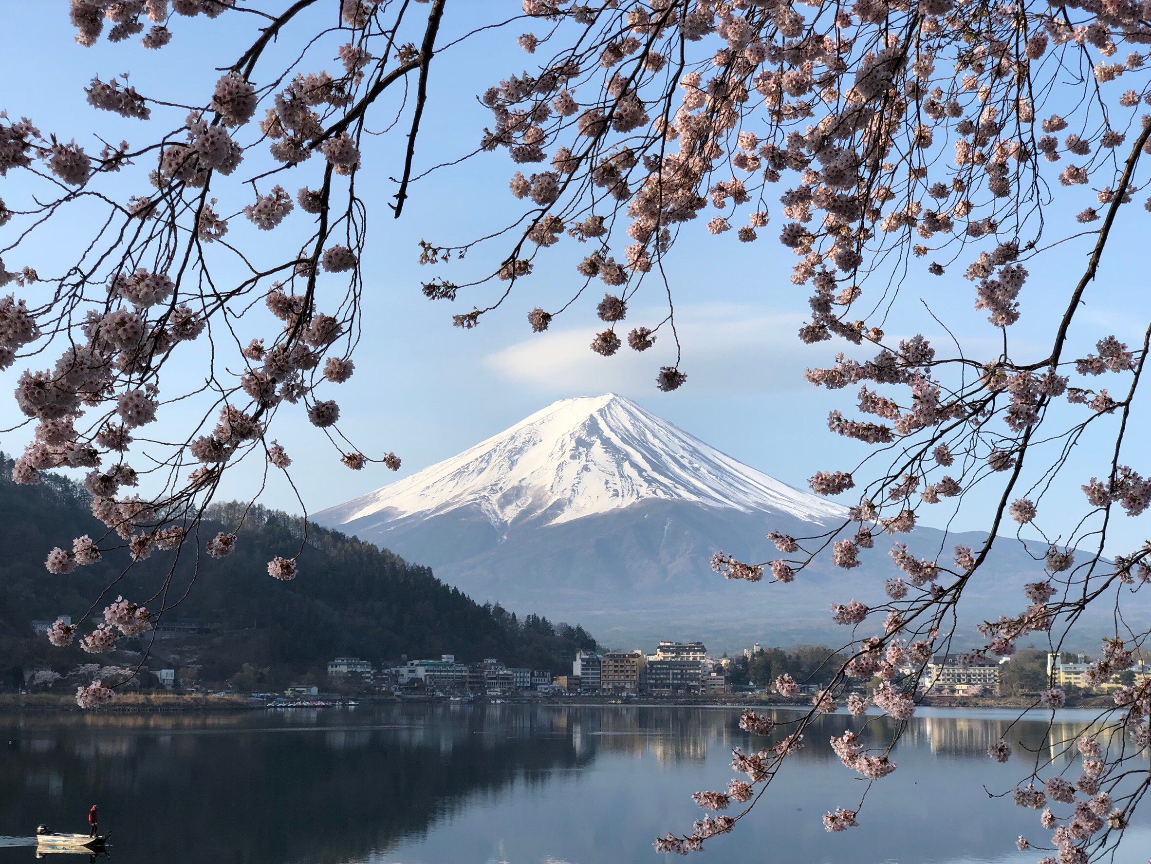 提供動漫avbb服務的專家Maki Sakamoto