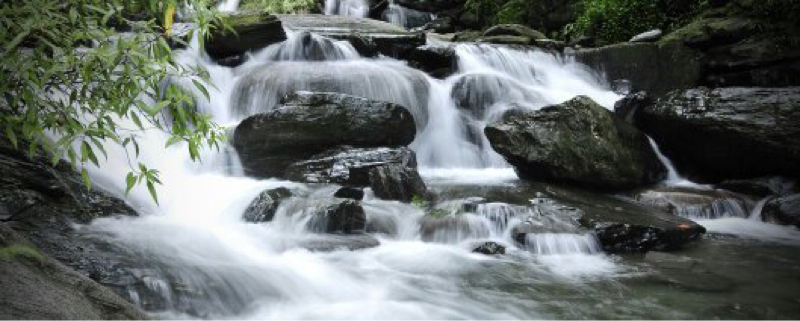 心意攝影工作室 Mind photo - 