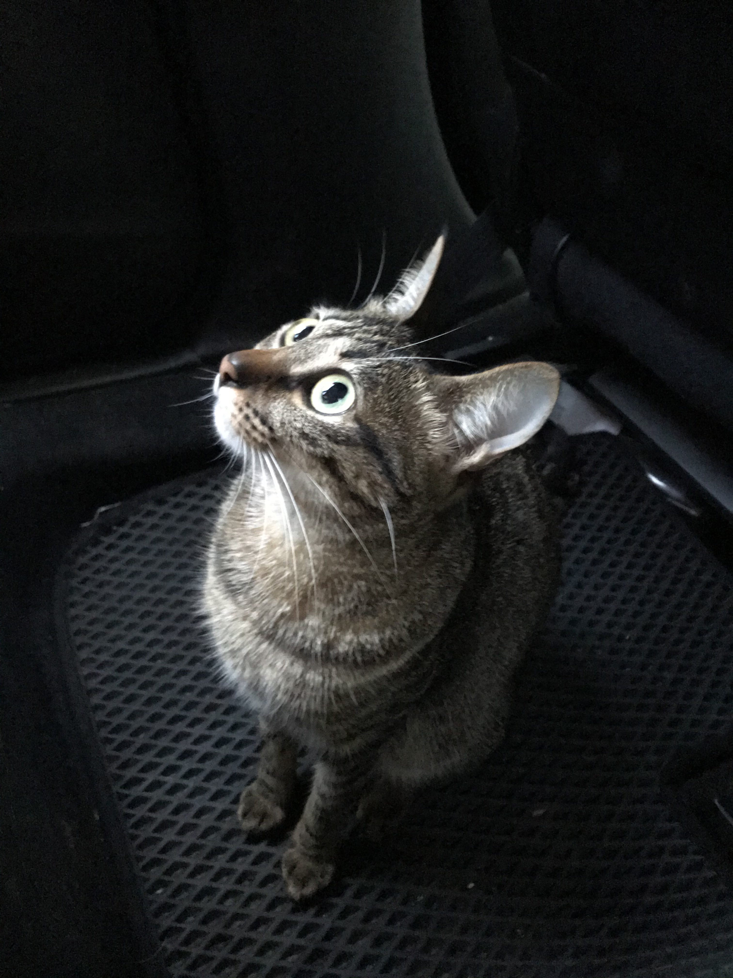 提供124服務的專家無