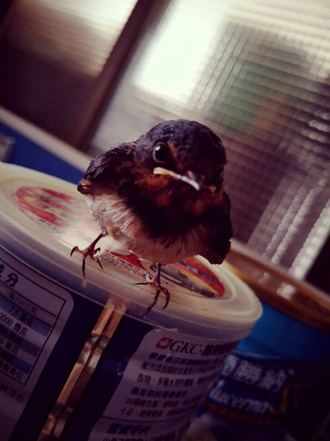 提供民法425服務的專家專業翻譯