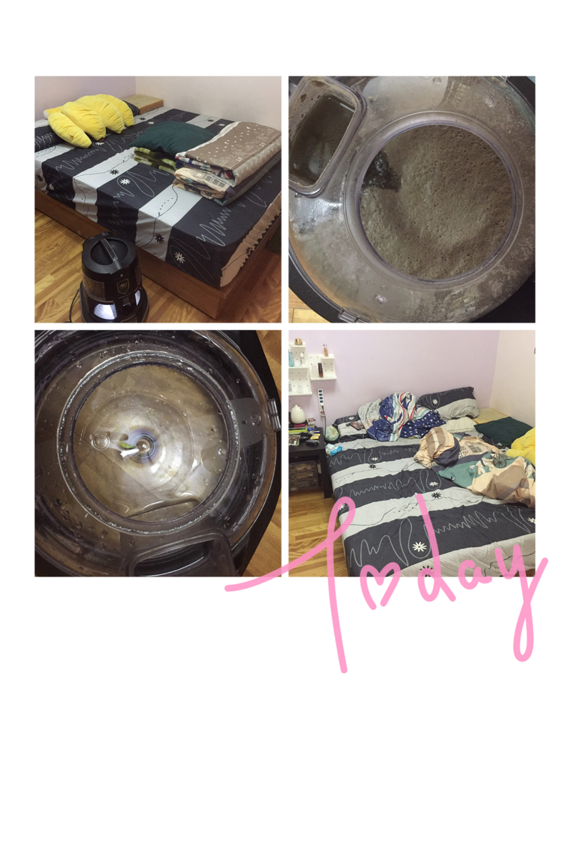 蟎沒搞頭 - 我們使用Ranbow 專業除塵蟎設備