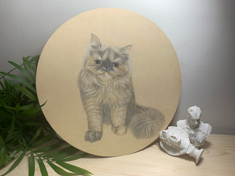 Nunu space - 色鉛筆插畫繪製