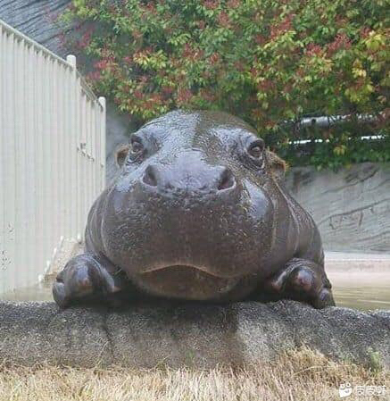 提供貨運到府收件大件服務的專家也好搬家貨運有限公司