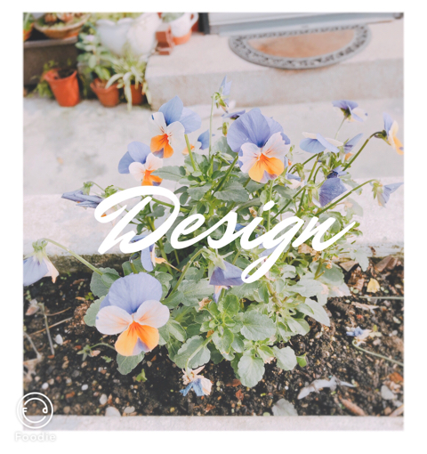 提供兼差服務的專家個人設計師