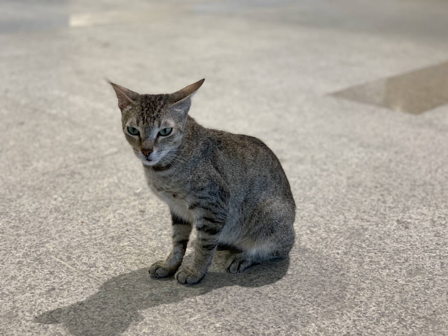 提供rwd服務的專家Wynee