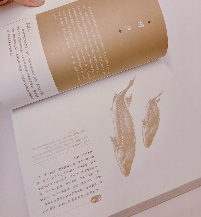 曹雲淇 - 《不負好食光》整本書的設計