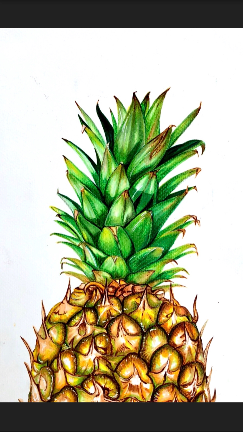 萱個人工作室 - 麥克筆技法 ??鳳梨