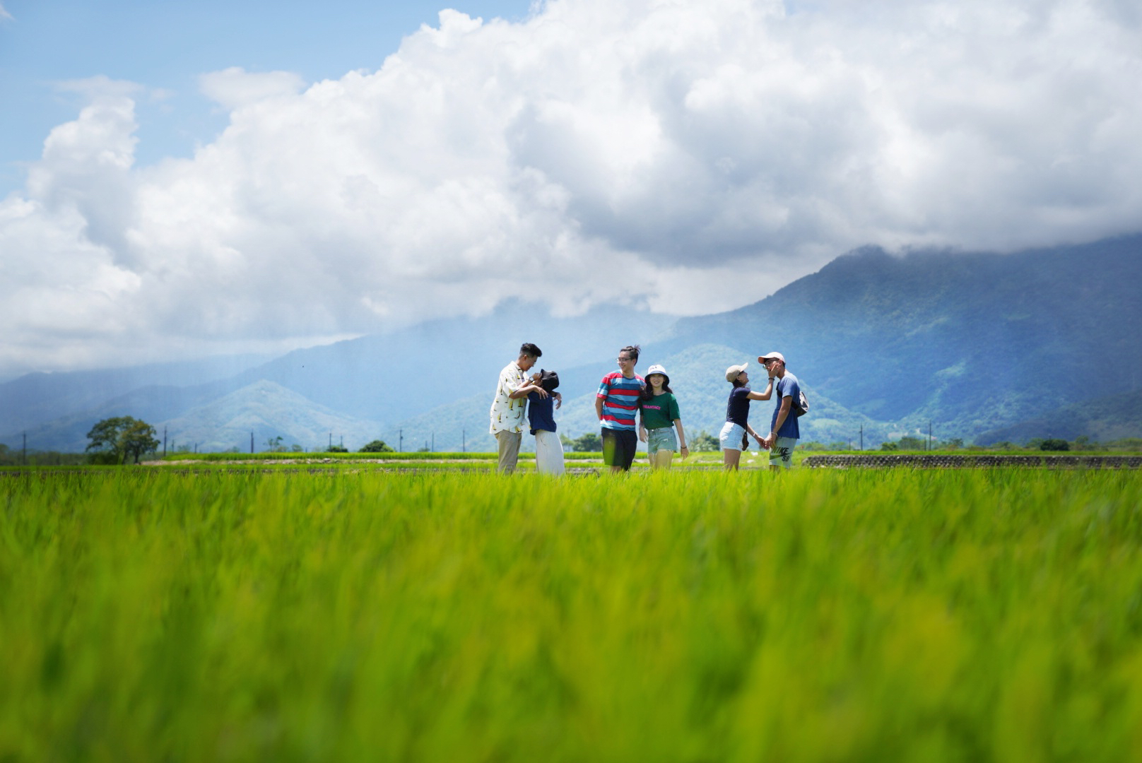 提供和成免治馬桶服務的專家彰師家教小組