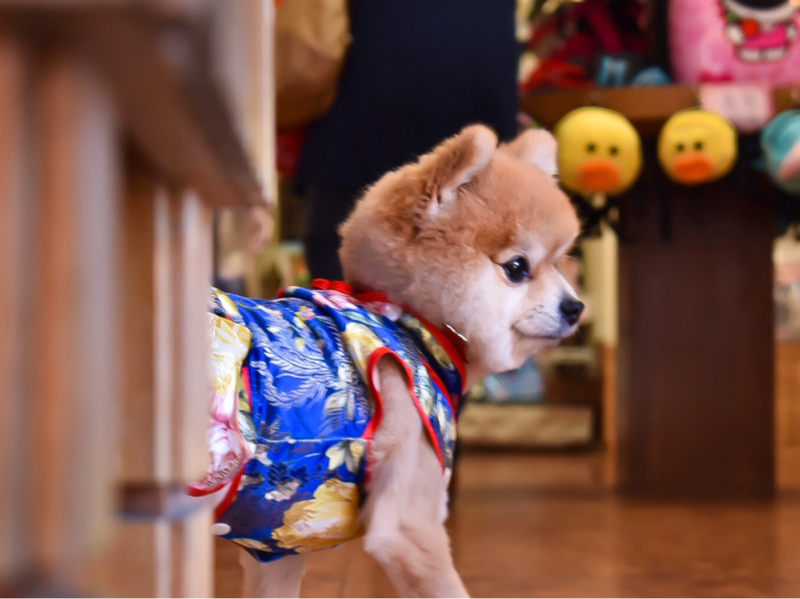 Taxi / 攝癮，視📷 - 等待，尋找。