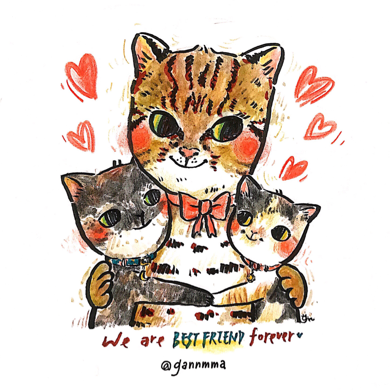 GANNMMA∙STUDIO - ‣Wacom石虎畫撥專線活動-石虎插畫創作
（手繪：色鉛筆、水性彩色墨水筆）