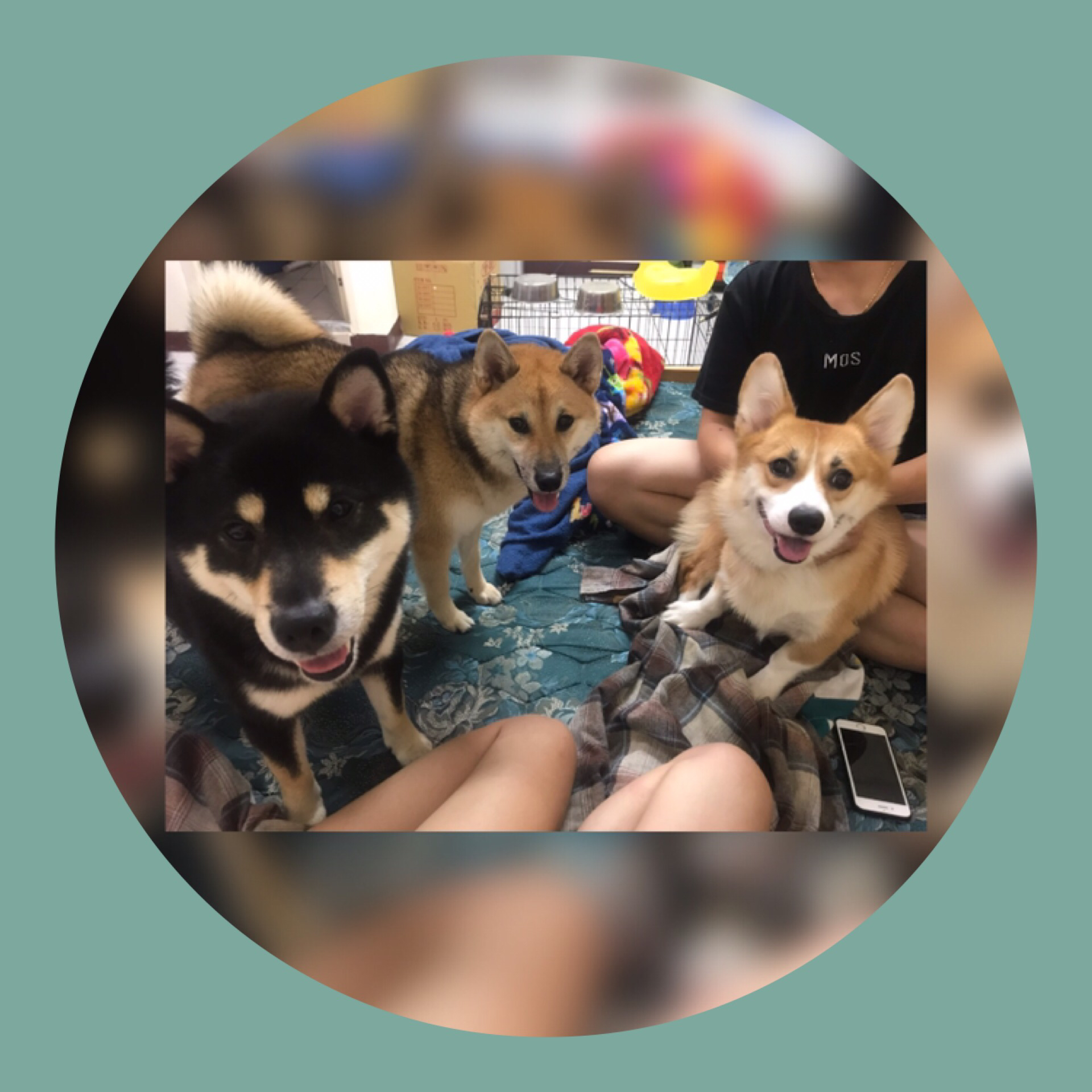 提供soho crm服務的專家SOHO