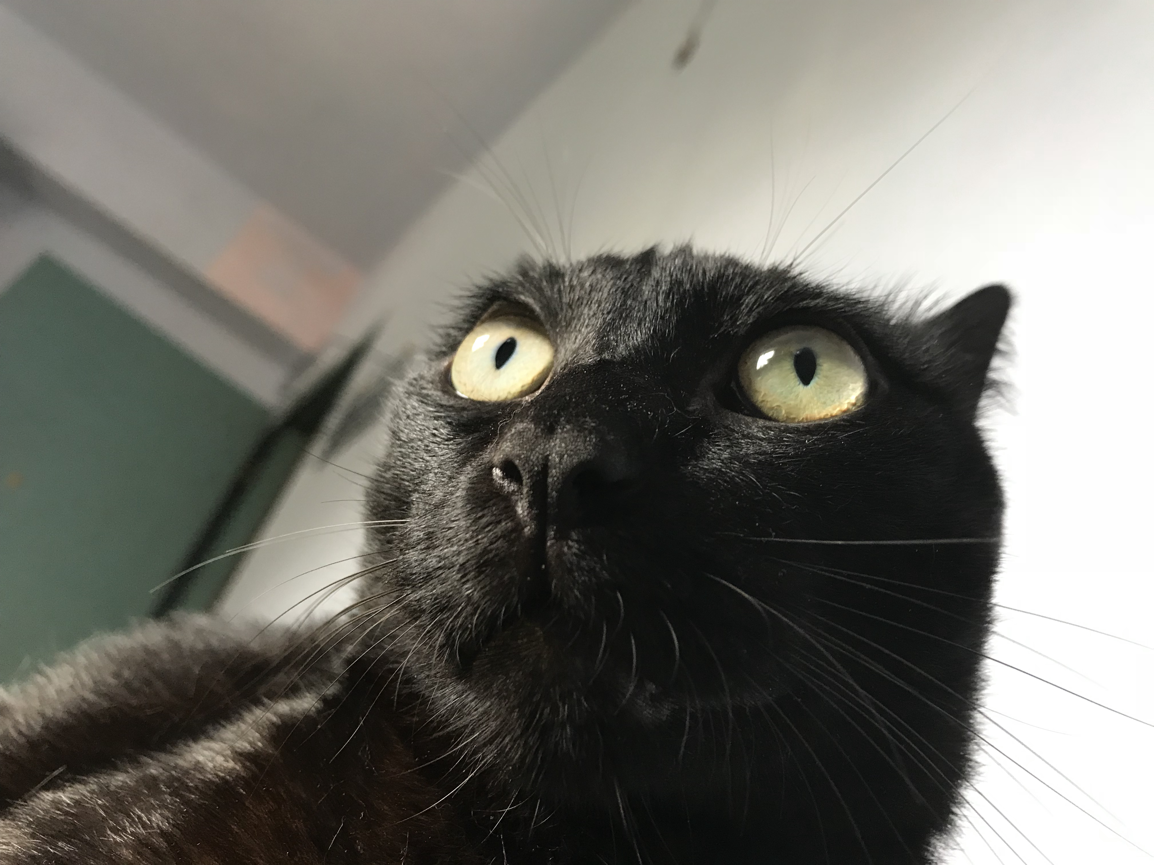 提供ipad包膜服務的專家膜膜人專業包膜