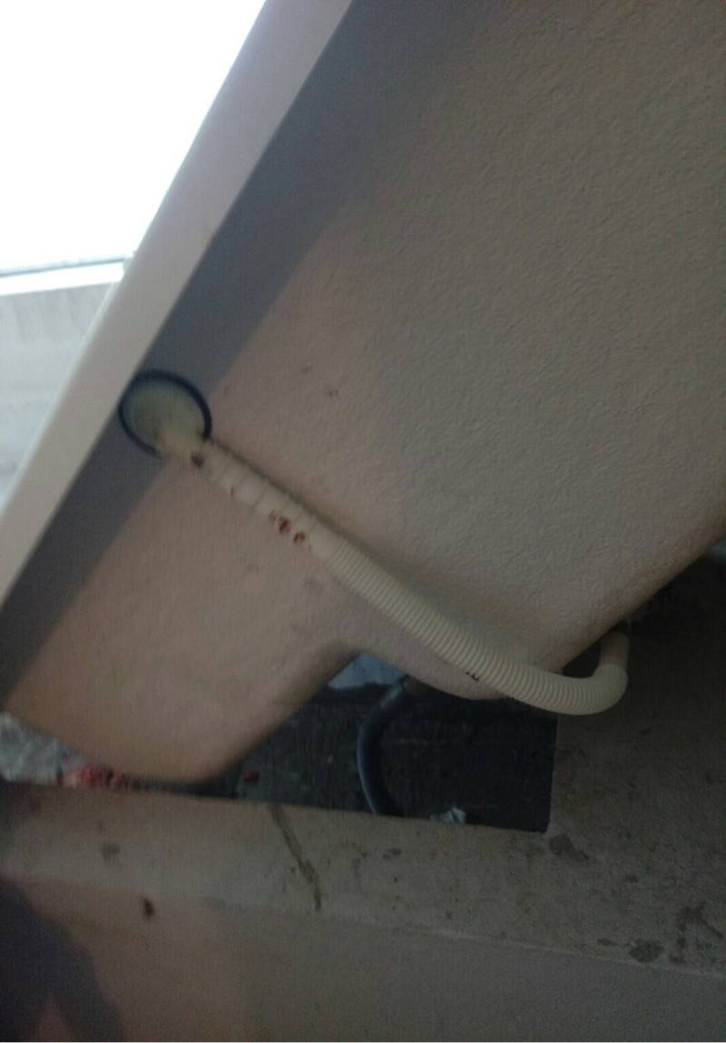 呈信水電 - Toto浴缸安裝一完成測試中