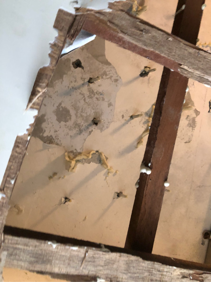 范郁德 - 客廳樓板高壓灌注抓漏