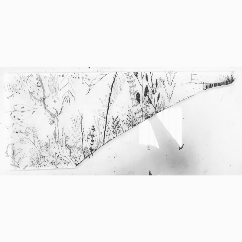 M&D Studio - 插畫作品 M&D Studio - 插畫作品