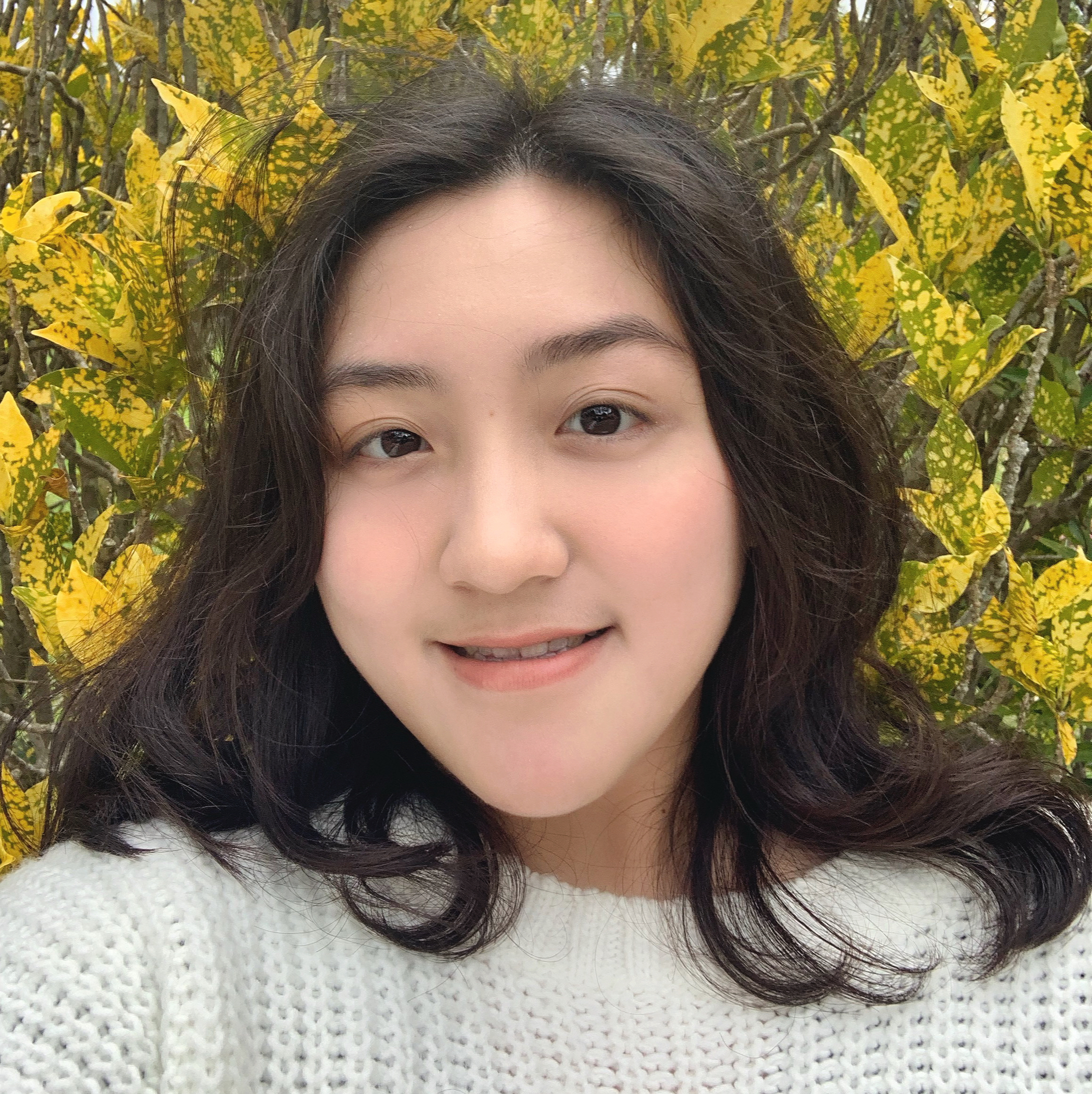 提供民法820服務的專家楊明