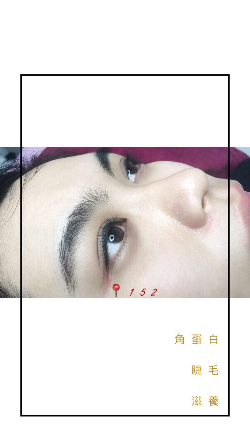 📍152 - 角蛋白睫毛滋養