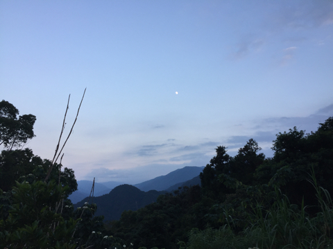 提供卡片服務的專家葉雅琪