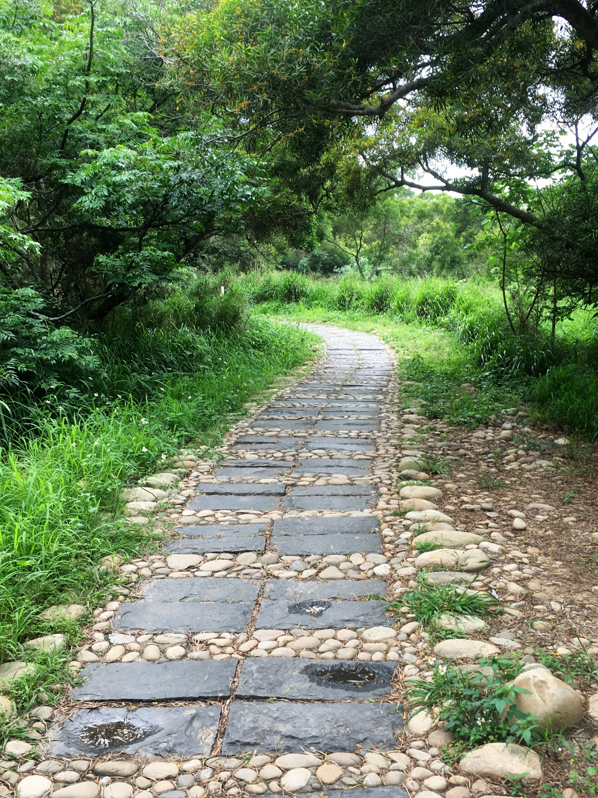 提供日檢服務的專家大和語言所