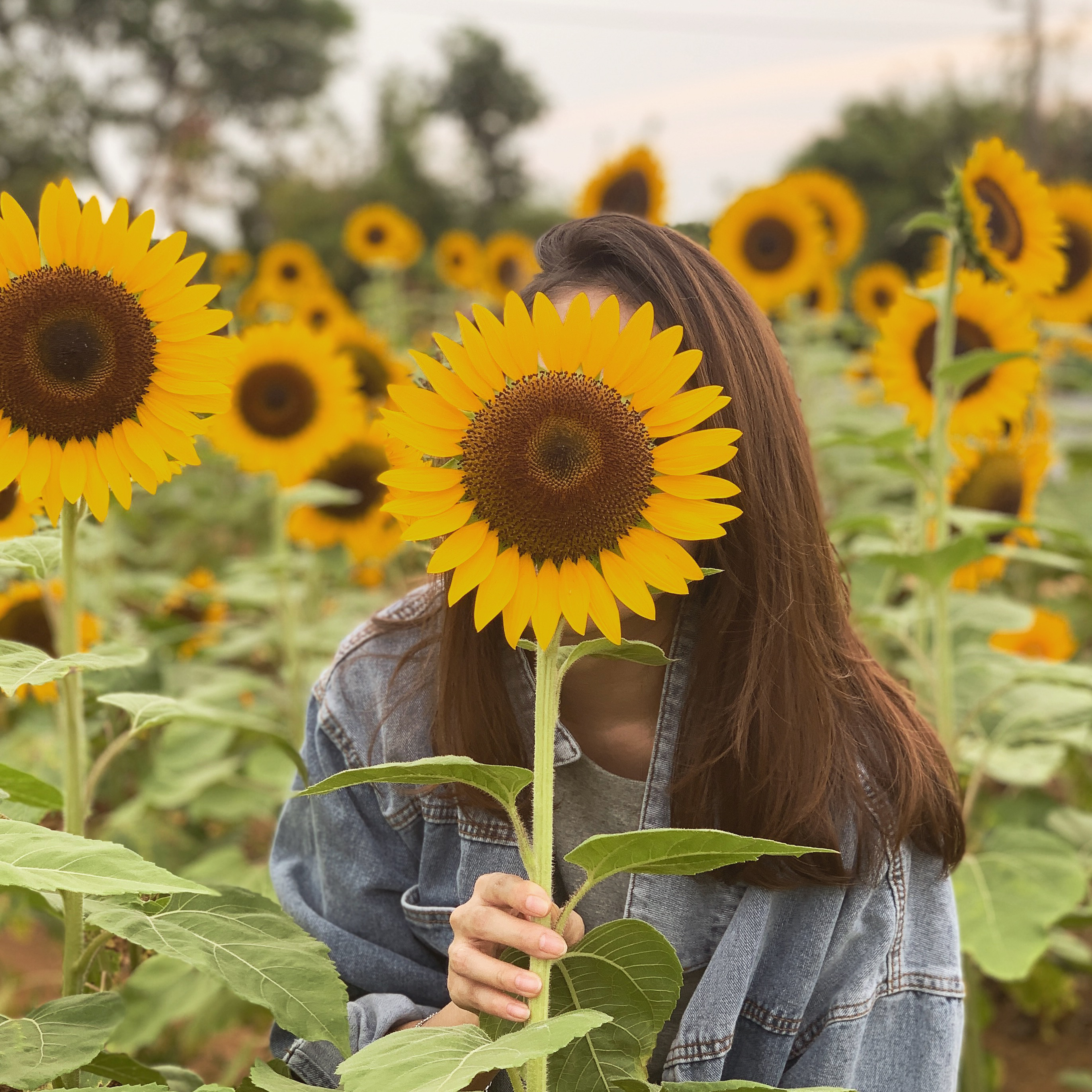 提供兒童美語家教服務的專家英文家教