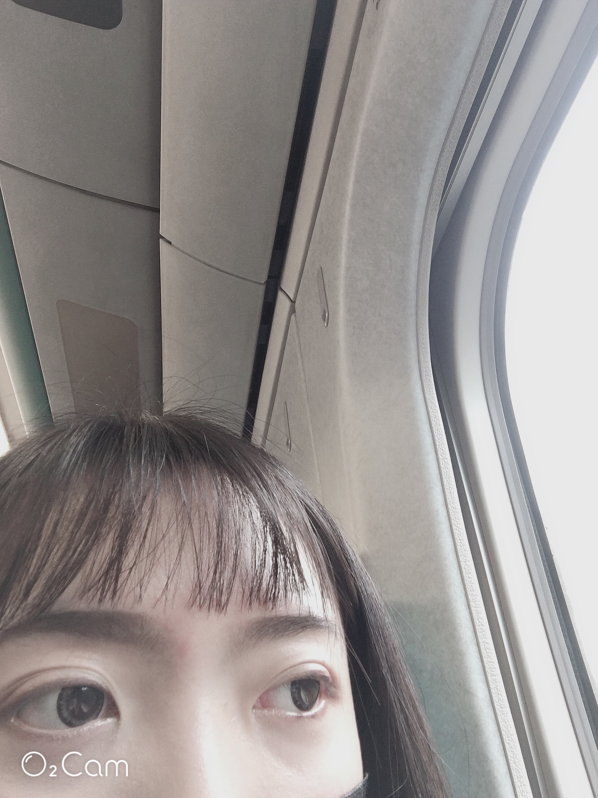 提供吉祥服務的專家設計小窩