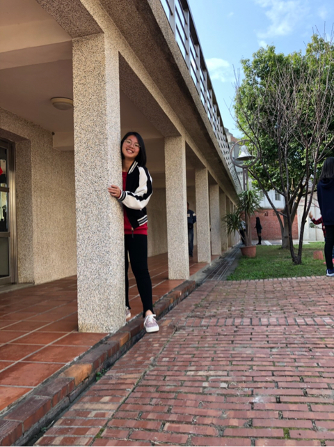 提供Word Excel服務的專家李紫筠